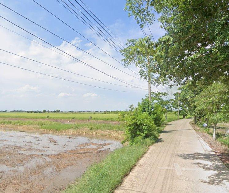 ขายที่ดินท่าไข่ 8 ไร่ ติดถนนคอนกรีต ใกล้ถนนวงแหวนเส้นตัดใหม่เส้น304(แยกสตาร์ไลท์-4กม.) อ.เมืองฉะเชิงเทรา 1