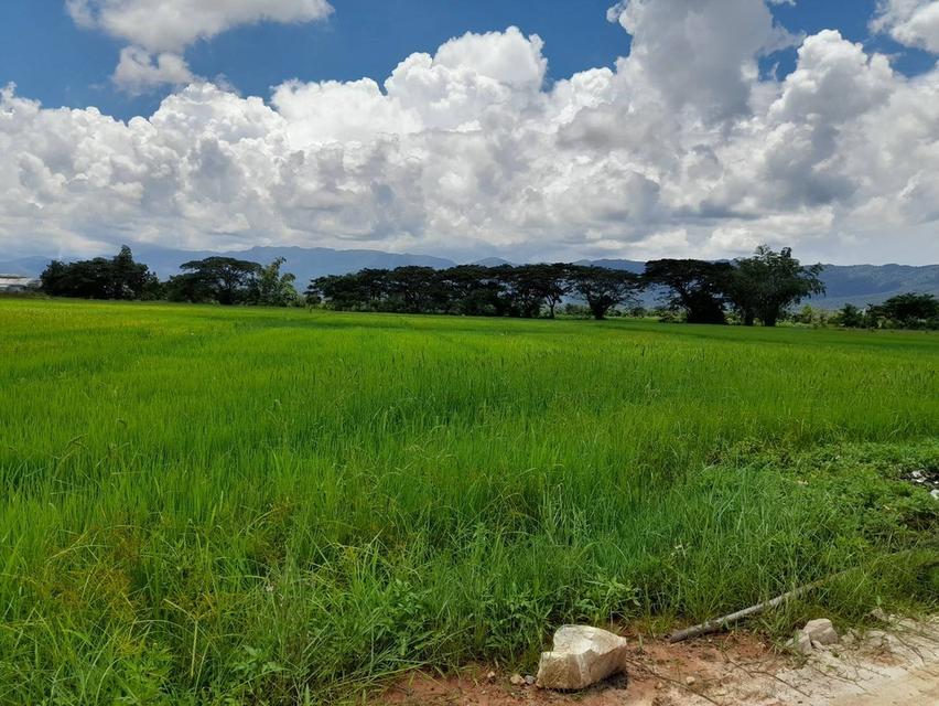 ที่ดิน 3