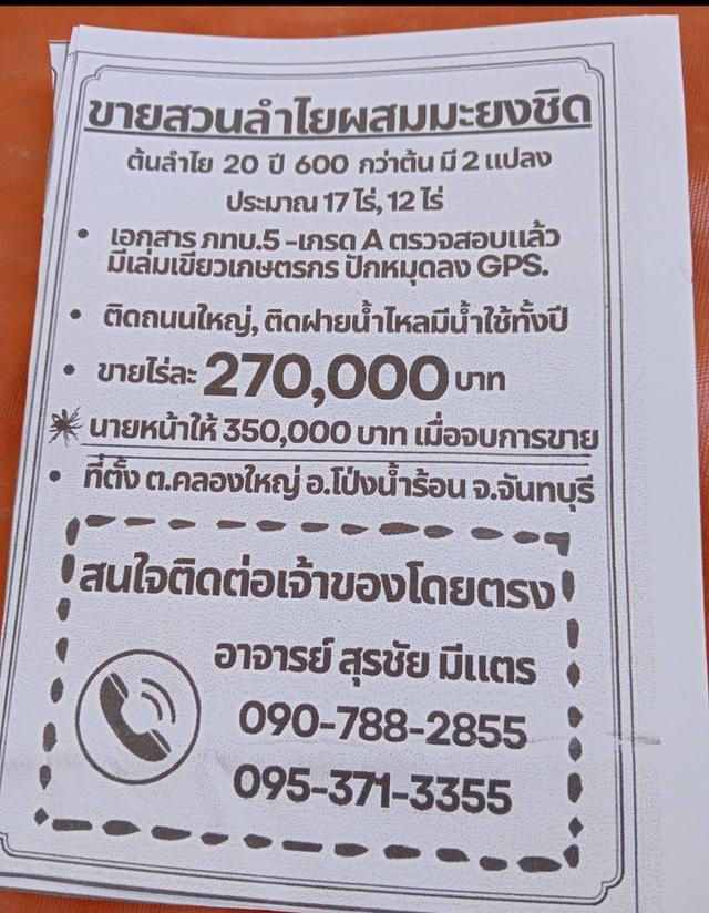 ขายสวนลำไยผสมมะยงชิด ต้นลำไย  20 ปี 600 กว่าต้น  มี 2 เเปลง โดยประมาณ 17ไร่,12 ไร่ 6