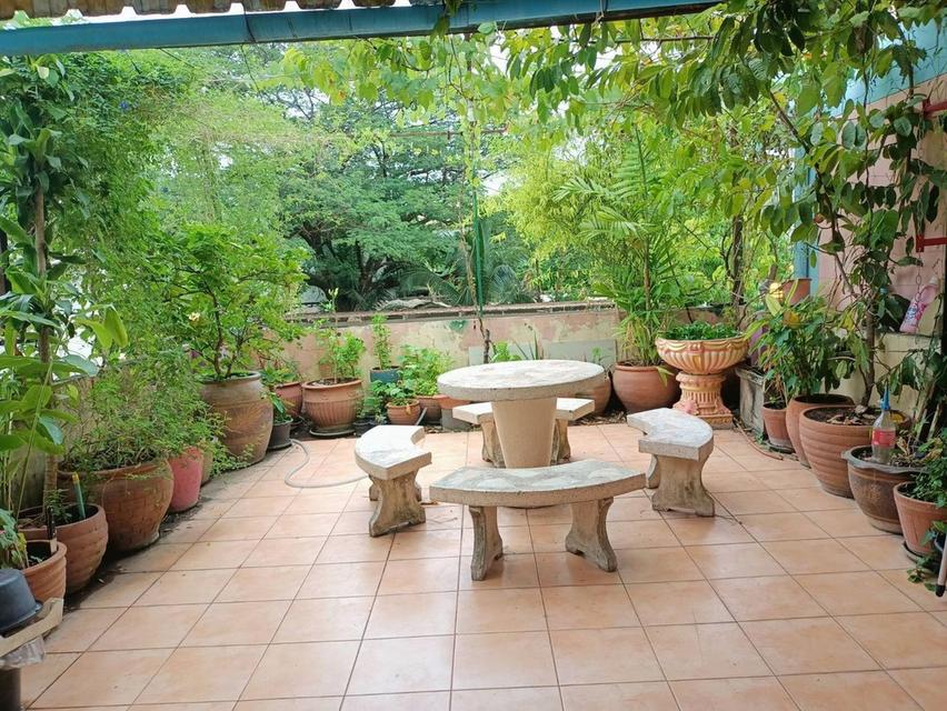 อาคารพาณิชย์ทำเลดีติดถนนสวนผัก 10