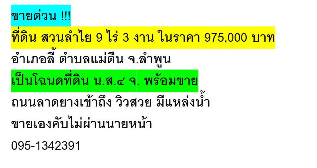 สวนลำไย 9 ไร่ 3 งาน จ.ลำพูน 4