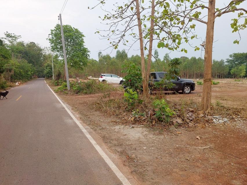 ที่ดินเปล่า โฉนด สกลนคร 5