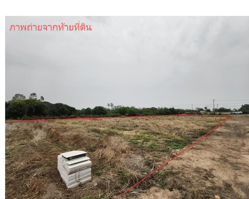 ประกาศขายที่ดิน อ่างทอง แบ่งขาย 4 แปลง 7