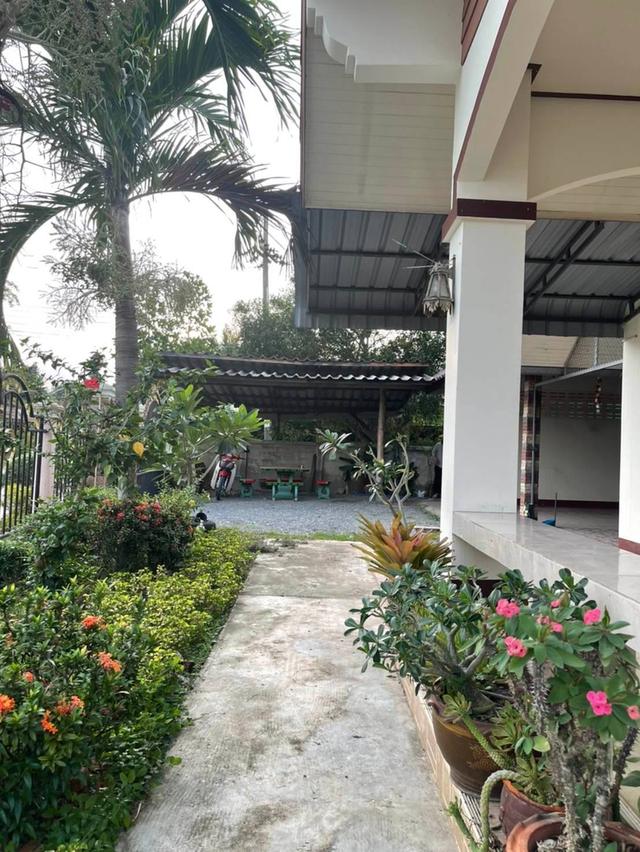 บ้านเดี่ยว​พร้อมอยู่​ ทำเลดี เดินทางสะดวก  ( เจ้าของขายเอง ) 13