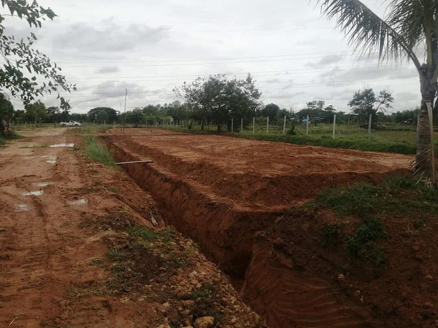 ขายที่สวนโคกหนองนา และบ้านสวน(เจ้าของขายเอง)ร้อนเงิน 8