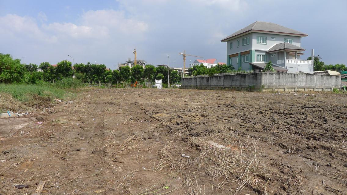 ขายด่วน! ที่ดินแปลงมุม ทำเลทองพุทธมณฑล สาย 1 (ซอย 35) 7