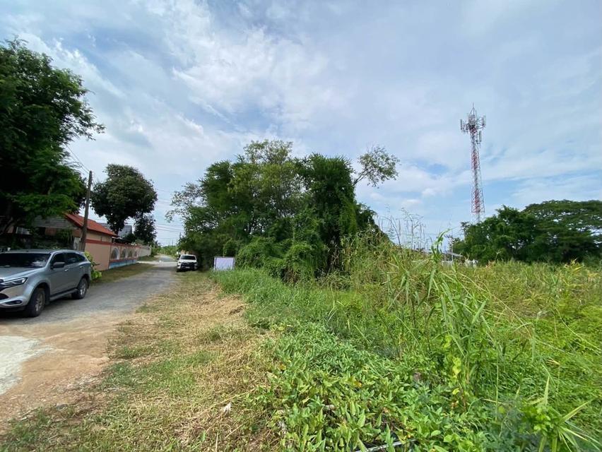 ขายด่วนที่ดิน 105 ตรว ติดถนนสาธารณะ ซ.สมพงษ์ พุทธมณฑล นครปฐม 6