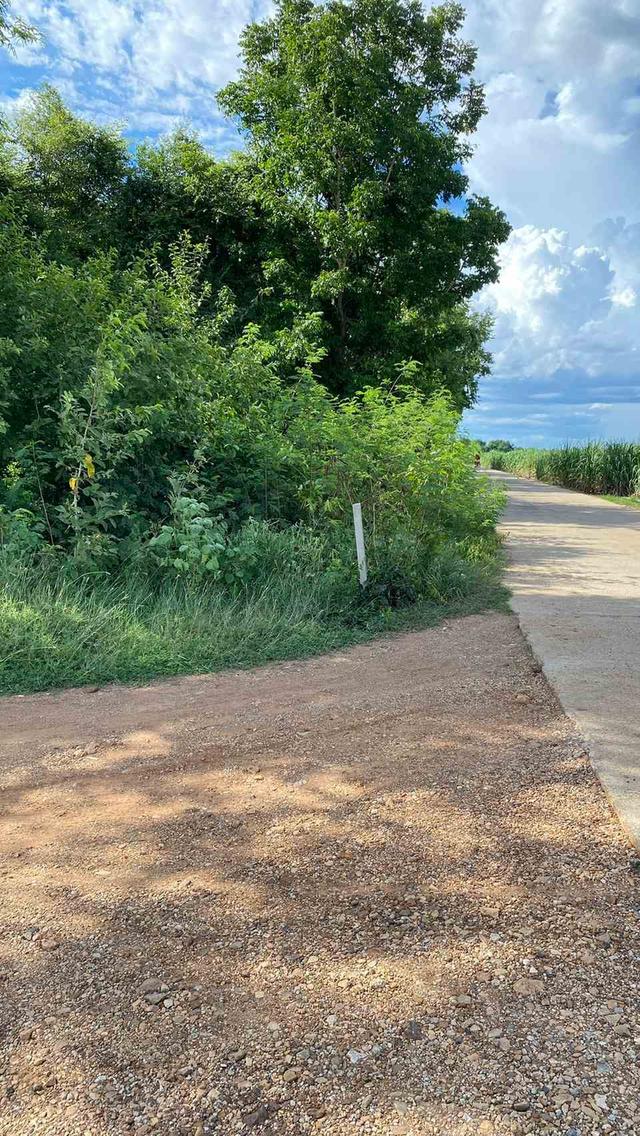 ขายที่ดินเปล่า ทำเลดี  ต.หนองกุ่ม อ.บ่อพลอย จ.กาญจนบุรี 7