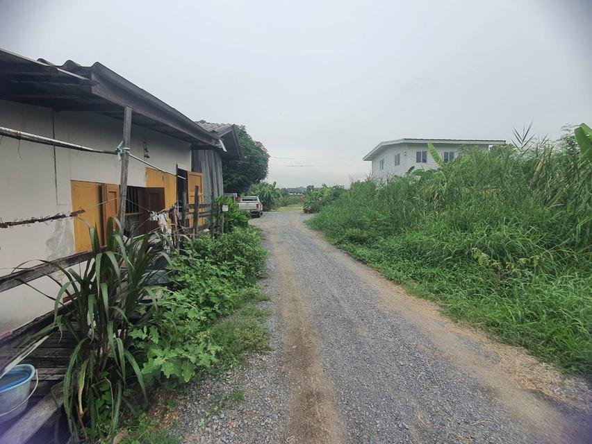 ให้เช่าบ้าน(ซอยโรงเรียนสายปัญญารังสิต) 6