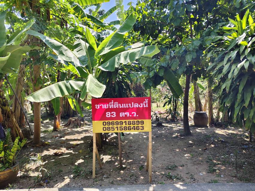 ขายที่ดินในอำเภอเมือง จังหวัดเพชรบุรี 4