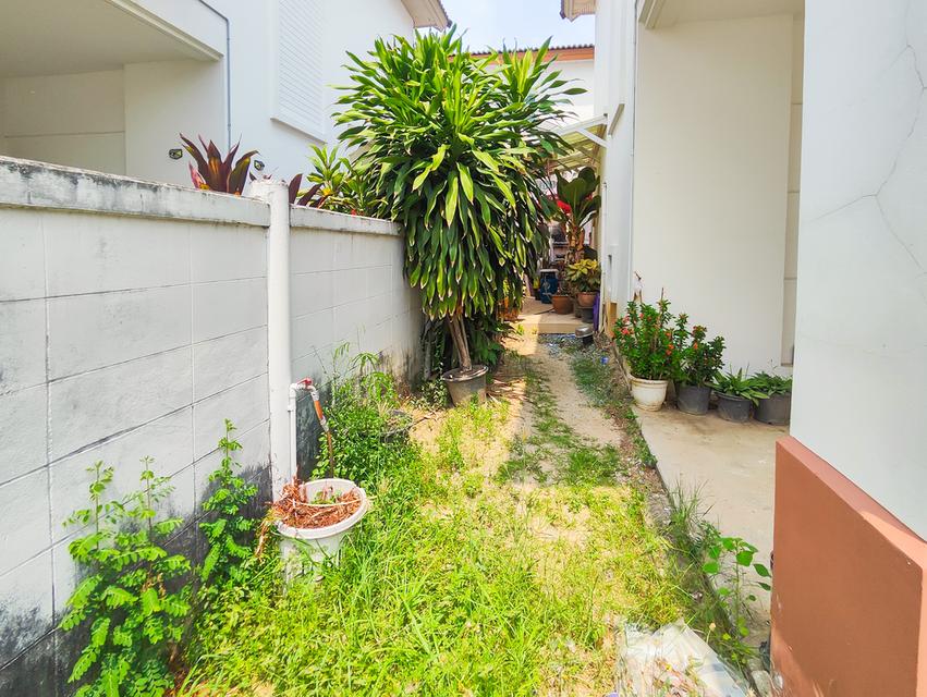 ชวนชื่น เพชรเกษม 81 บ้านเดี่ยว หนองแขม ขายถูกมาก ! 11