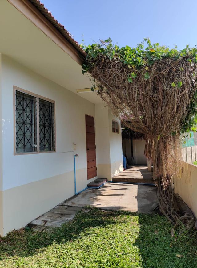 ขายบ้านเดี่ยวเชียงใหม่ 3