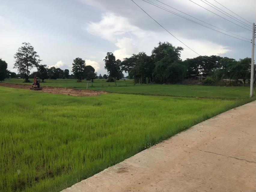 เจ้าของขายเอง ขายที่ดิน 5 ไร่กว่า ติดถนน น้ำ-ไฟ ถึง ห่างสถานีรถไฟ อำเภออุทุมพรพิสัย 5 กิโล เดินทางสะดวกมาก 4