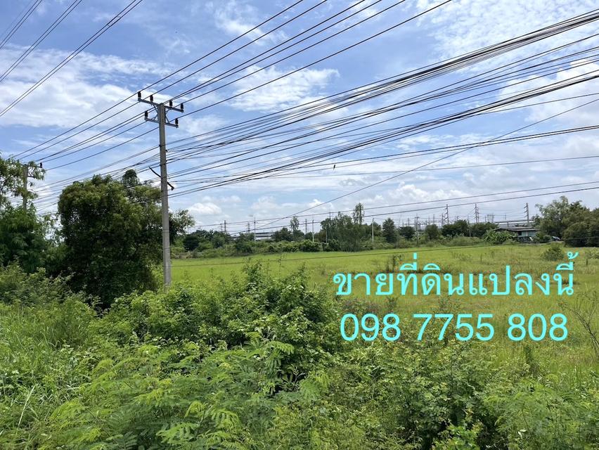 ที่ดิน 8 ไร่ ติดถนนสายเอเชีย 85 เมตร หน้านิคมไฮเทค บางปะอิน 098 7755 808 4