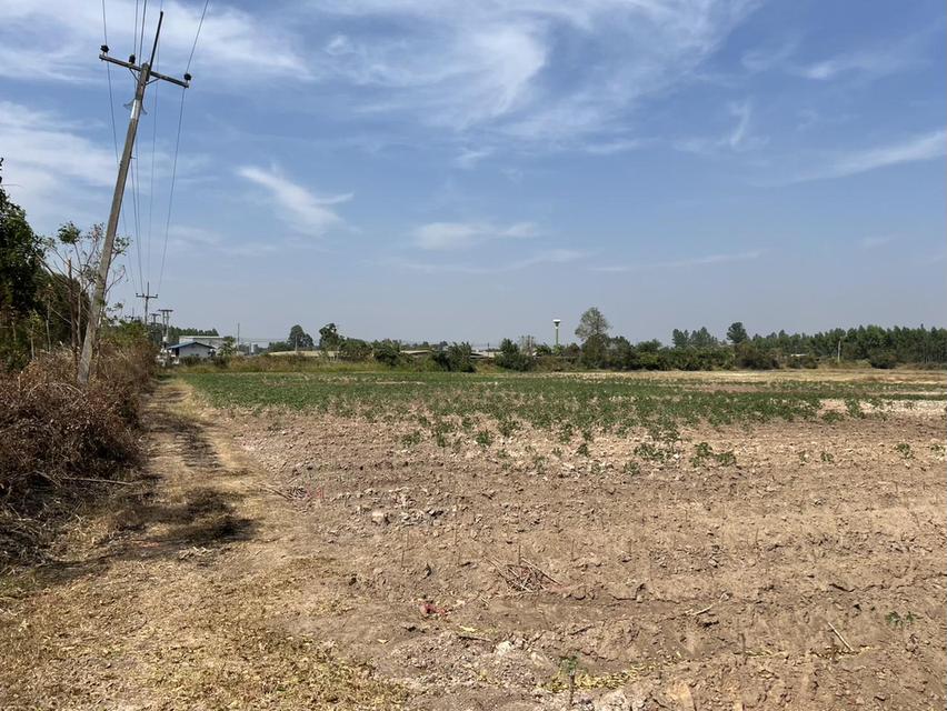 ขายที่ดินเขาหินซ้อน 25 ไร่ ติดฟาร์มเป็ดติดถนนลาดยาง ใกล้ถนนเส้น304-3กม. อ.พนมสารคาม ฉะเชิงเทรา 6