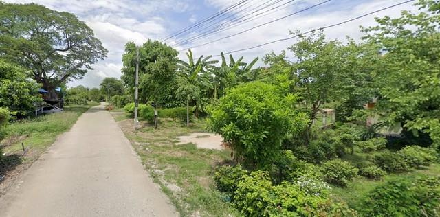 ที่ดิน ขายที่ดินติดถนน และแม่น้ำปิง ต.บ้านแก่ง อ.เมืองนครสวรรค์ จ.นครสวรรค์ 75 sq.wa 0 ngan 4 RAI ใกล้ ติดแม่น้ำปิง และท