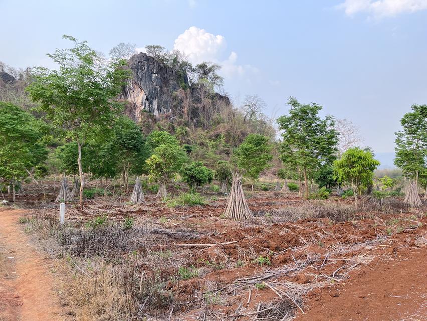 ขายที่ดินวิวภูเขา500000 1
