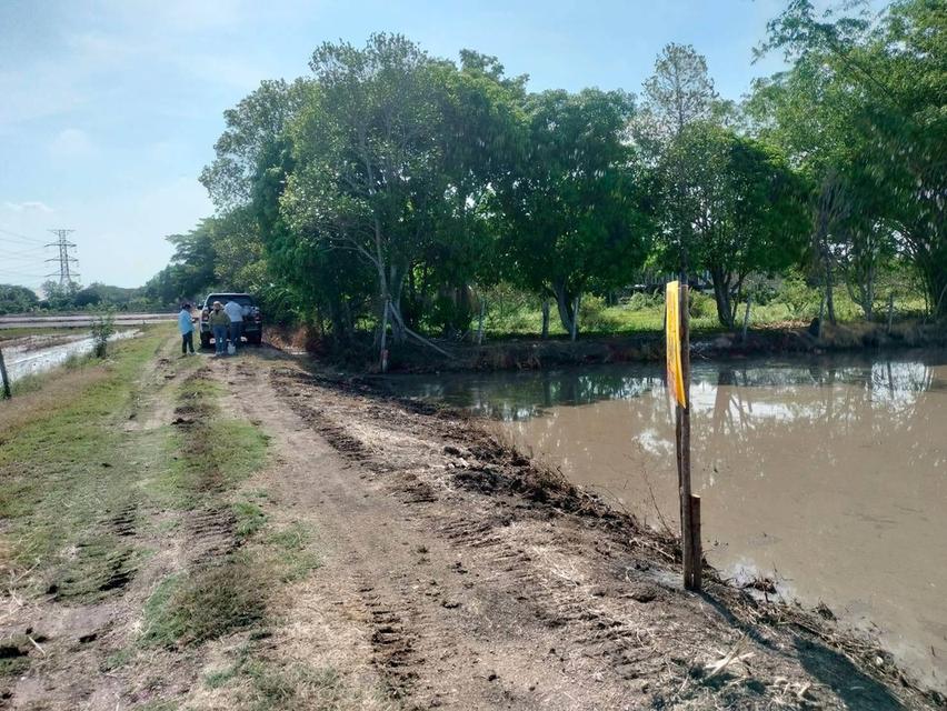 ขายด่วนที่ดิน 765 ตรว ติดถนนสาธารณะ เลียบคลองสิบสามฝั่งตะวันออก 38 หนองจอก กทม. 7