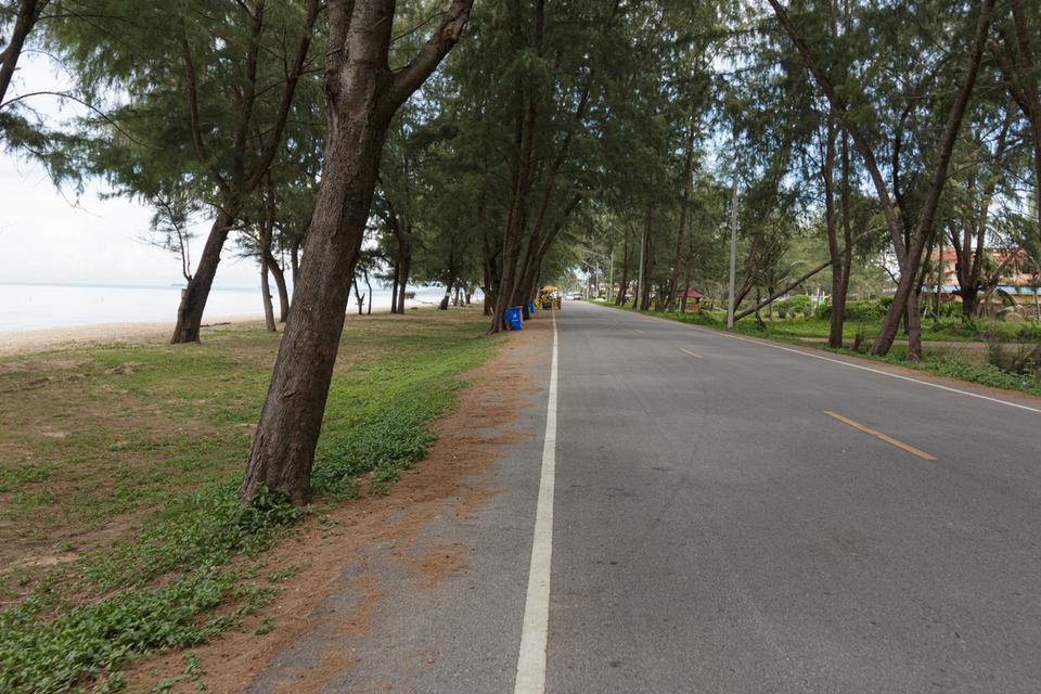 ขายที่ดินม่วงงาม จังหวัดสงขลา รูปที่ 6