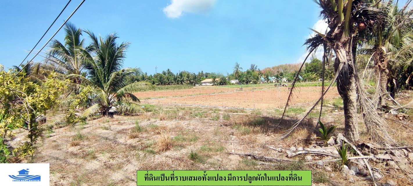 ขายที่ดินใกล้หาดไม้ขาว 10 ไร่ ไร่ละ 15 ล้านบาท  9