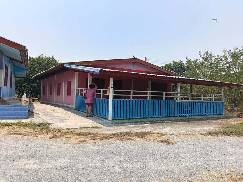 ขายด่วนบ้าน2หลังที่ดิน2ไร่เขตชุมชนติดถนนลาดยางน้ำไม่ท่วมไม่มีประวัติอยู่ไกล้ม. ราชมงคลสุวรรณภูมิสามชุกจ. สุพรรณขาย2. 55ล. สนใจ0894109810เจ้าของโดยตรง 17