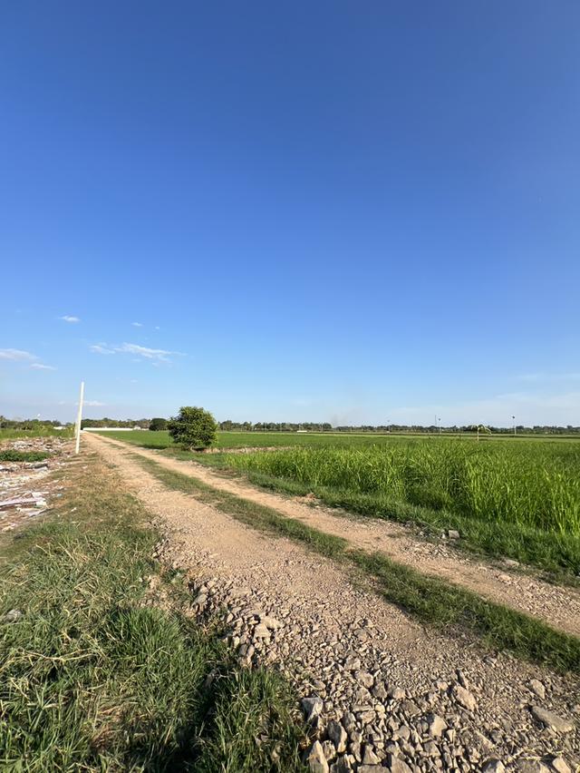 ขายที่ดินลำลูกกาเนื้อที่ 1 ไร่ คลอง8 ใกล้ถนนเส้น3006-2กม. จ.ปทุมธานี 3