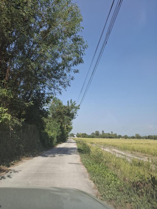 ที่ดินเปล่า 2 แปลงติดกัน หน้าติดถนนซอยบ้านดอนแต้วพัฒนา ต.พิกุลออก อ.บ้านนา จ.นครนายก 3