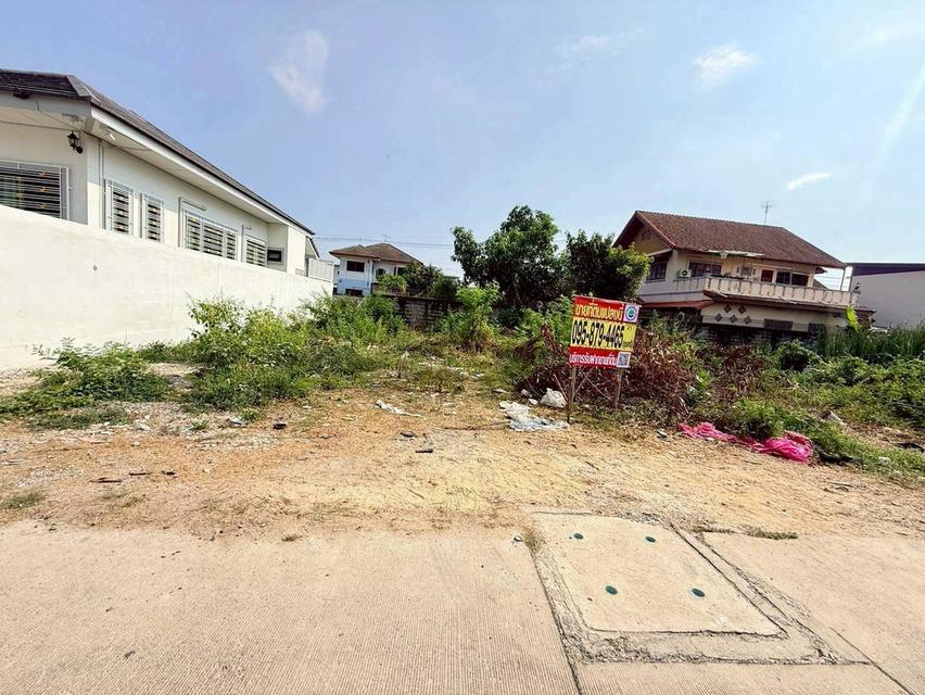 ขายด่วนที่ดินคลองสอง 50 ตรว ติดถนนคอนกรีตสาธารณะ ซ.บงกช 43 คลองหลวง ปทุมธานี รูปย่อยที่ 2