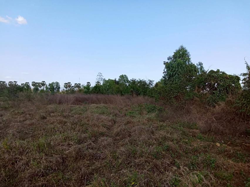 ขายที่ดินแปลงใหญ่ อำเภอทัพทัน จังหวัดอุทัยธานี ** ราคา 299 บาท/วา ** (N.2032) 6