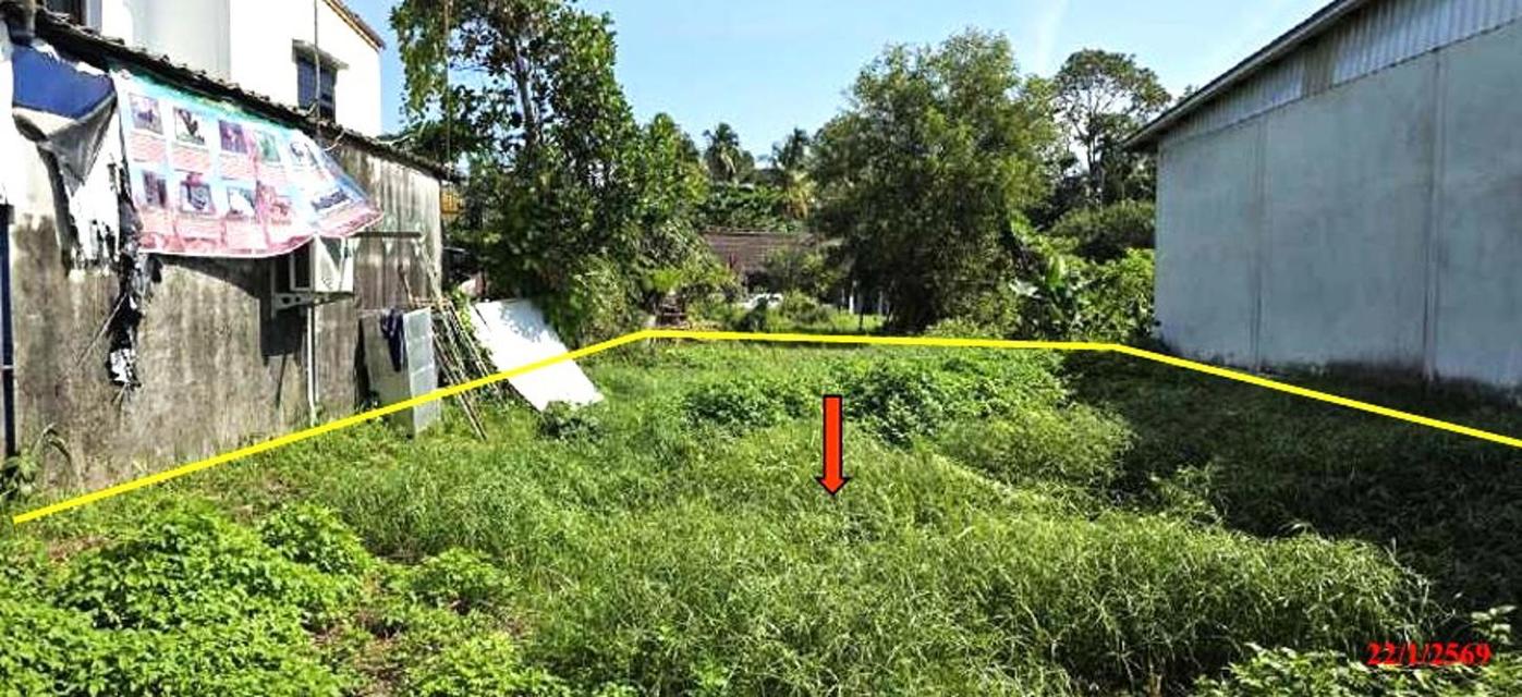 ที่ดินนราธิวาส ใจกลางเมือง เนื้อที่ 53 ตารางวาราคาคุญกันได้ 3