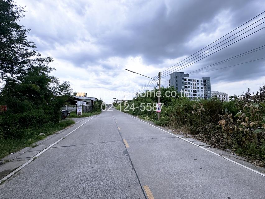 ที่ดินเปล่า ลำลูกกา 19 แยก 1 ถนนลำลูกกา ต.คูคต อ.ลำลูกกา จ.ปทุมธานี 7