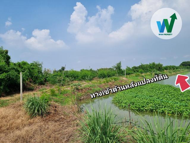 ขายที่ดินในบางปะกง ฉะเชิงเทรา ต.หอมศิล ขนาดพื้นที่ 1 ไร่ 3 งาน 65.8 ตารางวา 9