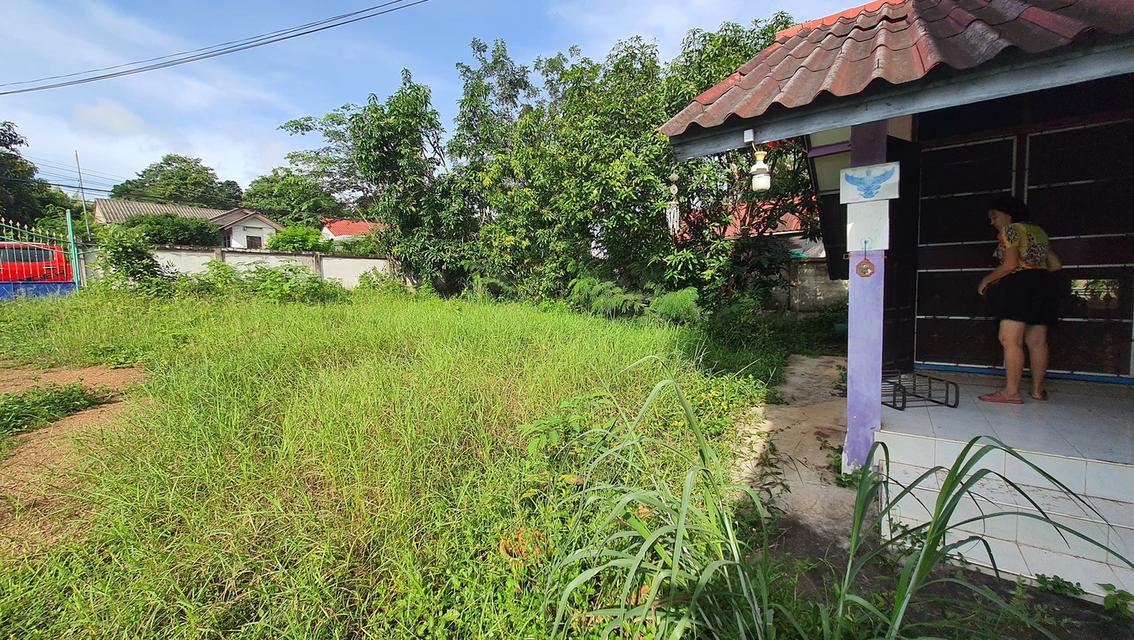 ขายบ้านเดี่ยวพร้อมที่ดิน 2 งาน 📍 หมู่บ้านม่อนดินแดง ต.ท่าเสา จ.อุตรดิตถ์ 8