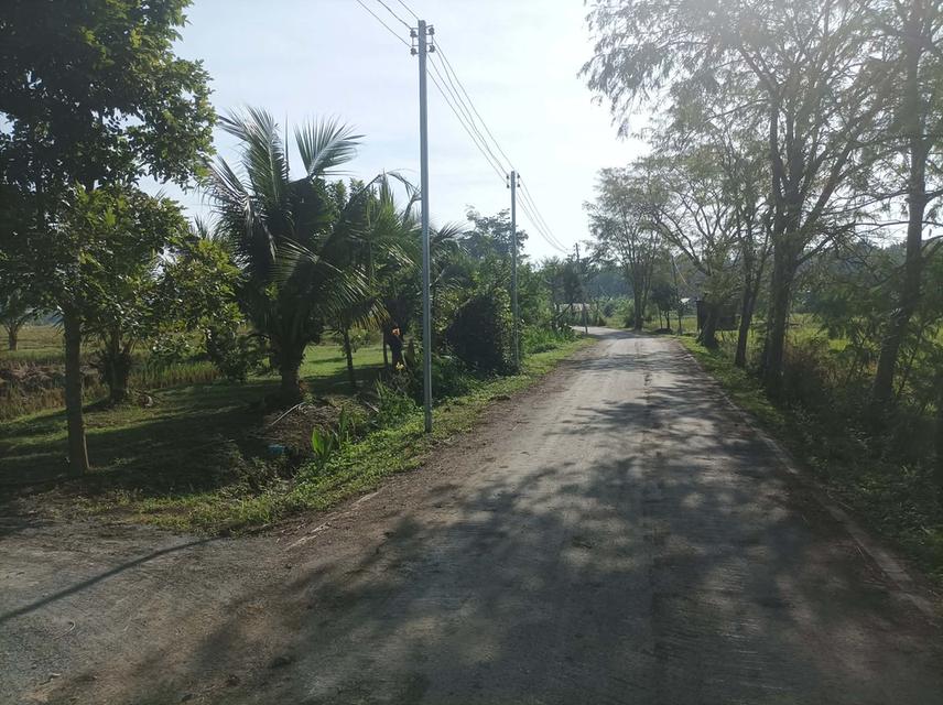 ขายที่ดิน5ไร่ วิวสวย ต.ป่าป้อง อ.ดอยสะเก็ด จ.เชียงใหม่ 10