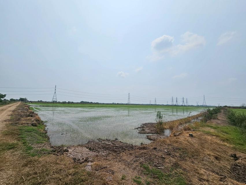ขายที่ดิน 300-1-18 ไร่ ที่ดินเป็นนา คอลง27 จ.พระนครศรีอยุธยา 1