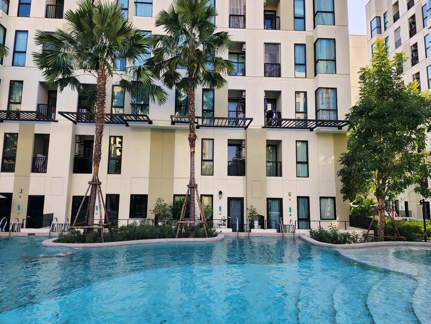 ขาย/ให้เช่า คอนโด ยูนิโอ สุขุมวิท 72 ห้อง Duplex แบบ Pool Access ขนาด 70.5 ตร.ม. บรรยากาศเหมือนอยู่รีสอร์ท ใกล้บีทีเอสแบริ่ง 7