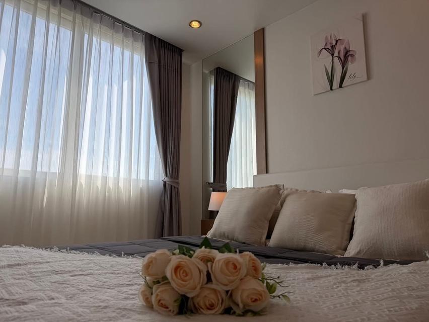 ขาย อะเมซอน เรสซิเด้นท์ 6