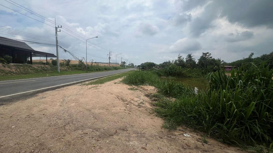 ขายที่ดินม่วงลายติดถนน รย.2026 นิคมพัฒนา ระยอง 5