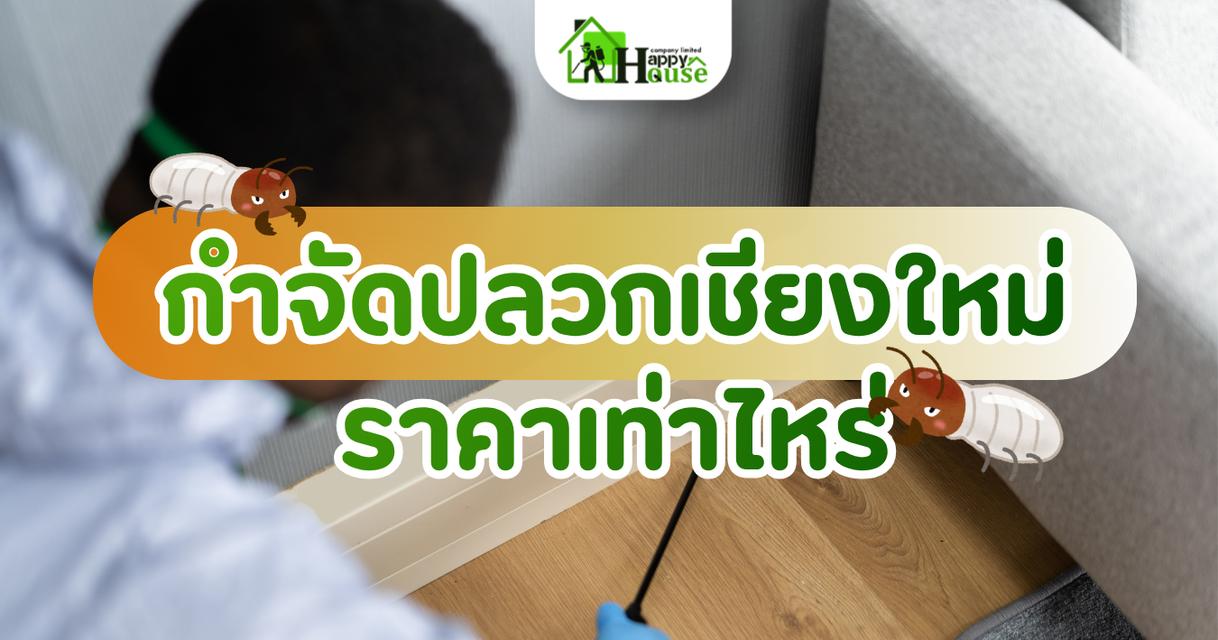 กำจัดปลวกเชียงใหม่ราคาเท่าไหร่