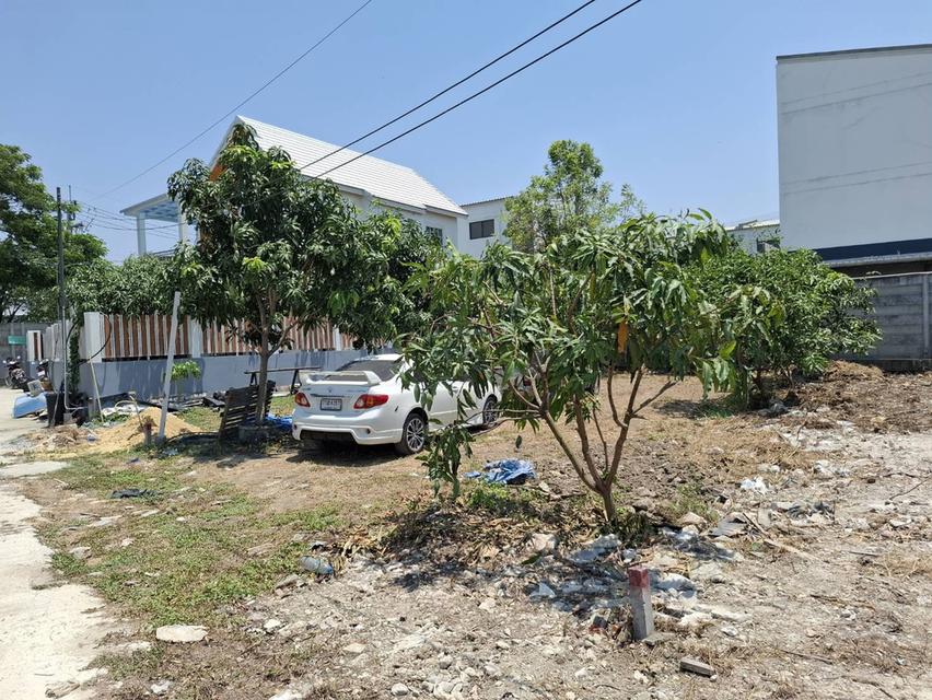 ที่ดินถมแล้ว ติดทางด่วนจตุโชติ 700 เมตร 3