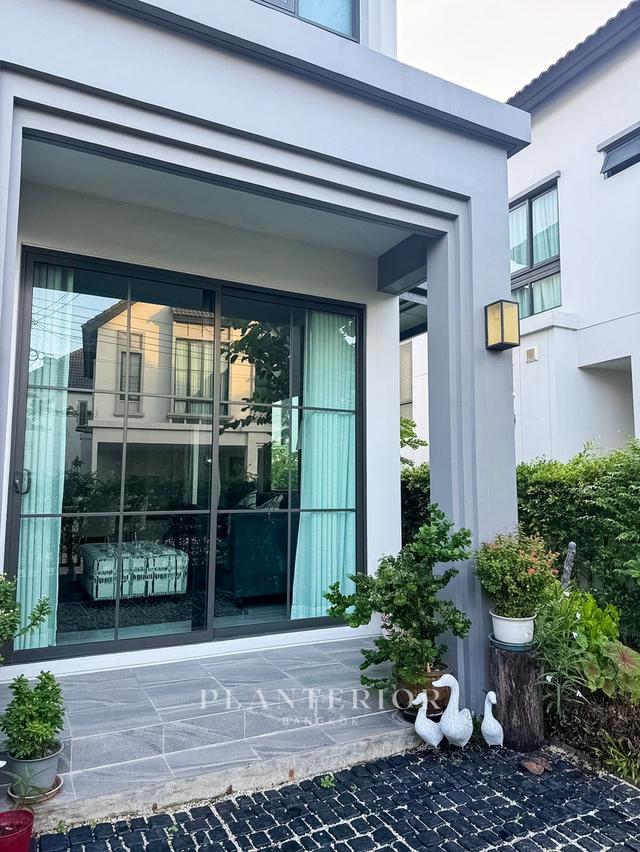 บ้านรามคำแหง 59,000 ให้เช่าเดี่ยว 2 ชั้น  50 ตรว 3 นอน 3 น้ำ 1 ห้องทำงาน  9