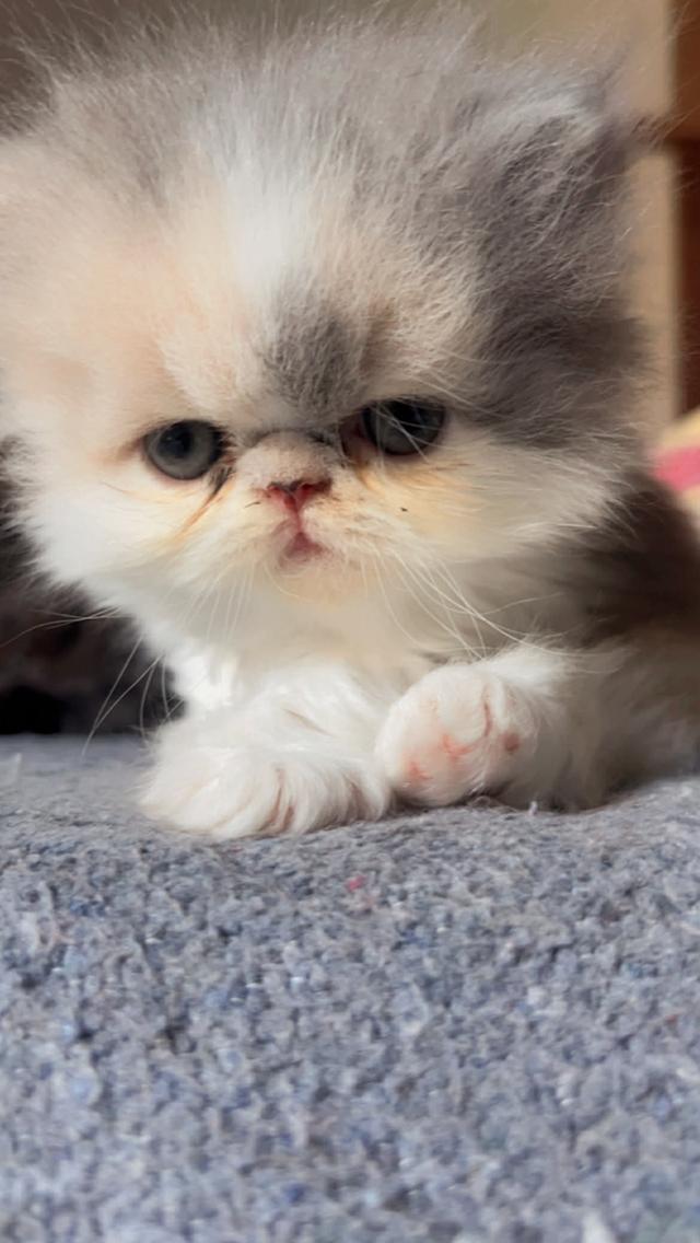 สาวหน้าบี้ ❤️🏡 พร้อมย้ายบ้าน น้องอยู่ปทุมธานี นวนคร🏡❤️😻🏡