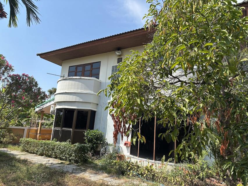 บ้านเดี่ยว เมืองระยอง 3