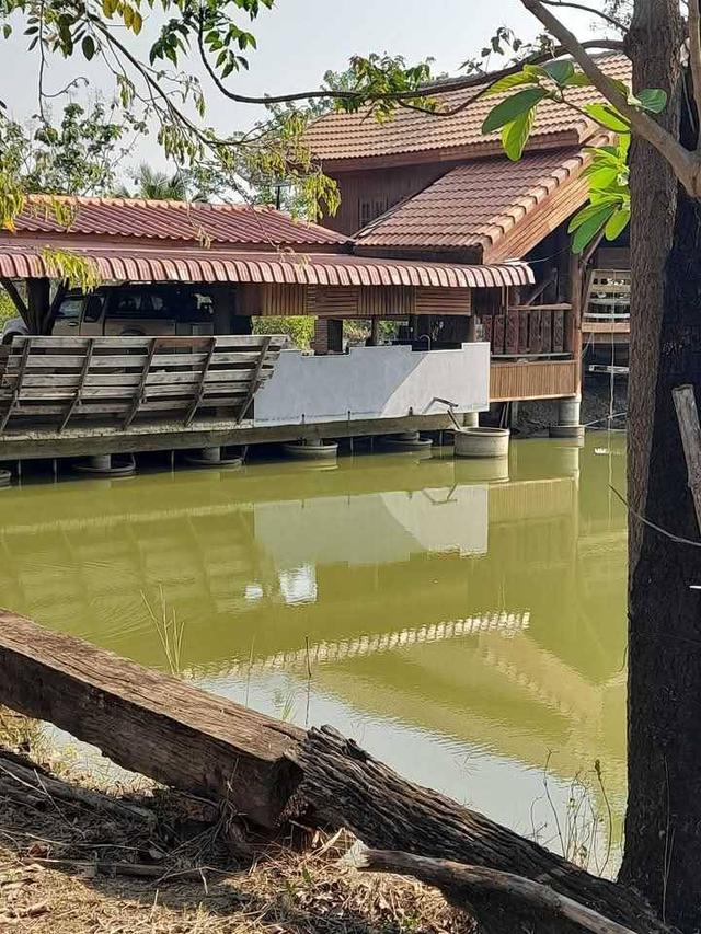 ที่ดินพร้อมบ้าน  3  หลัง 11