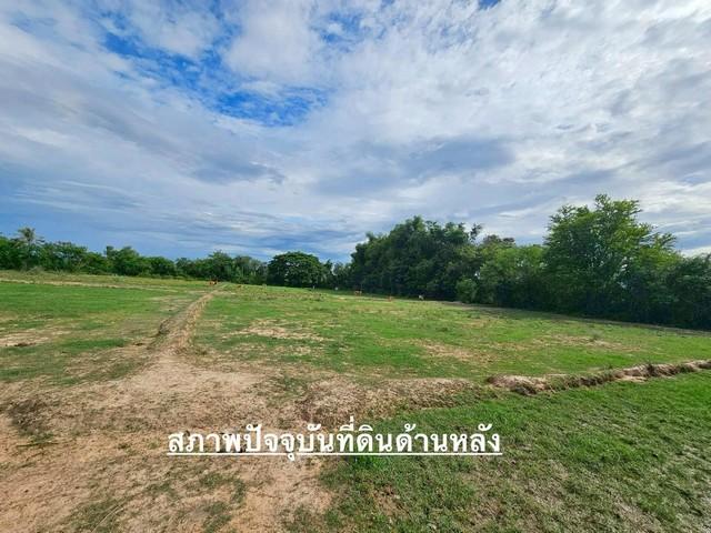 ขายที่ดินเปล่า ติดถนนเพชรเกษม ขาล่องใต้ ตำบลศิลาลอย อำเภอสามร้อยยอด จังหวัดประจวบคีรีขันธ์ 6