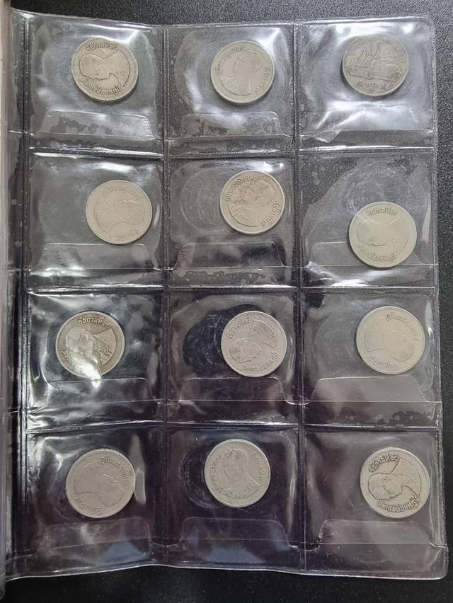 Coin Collection  11