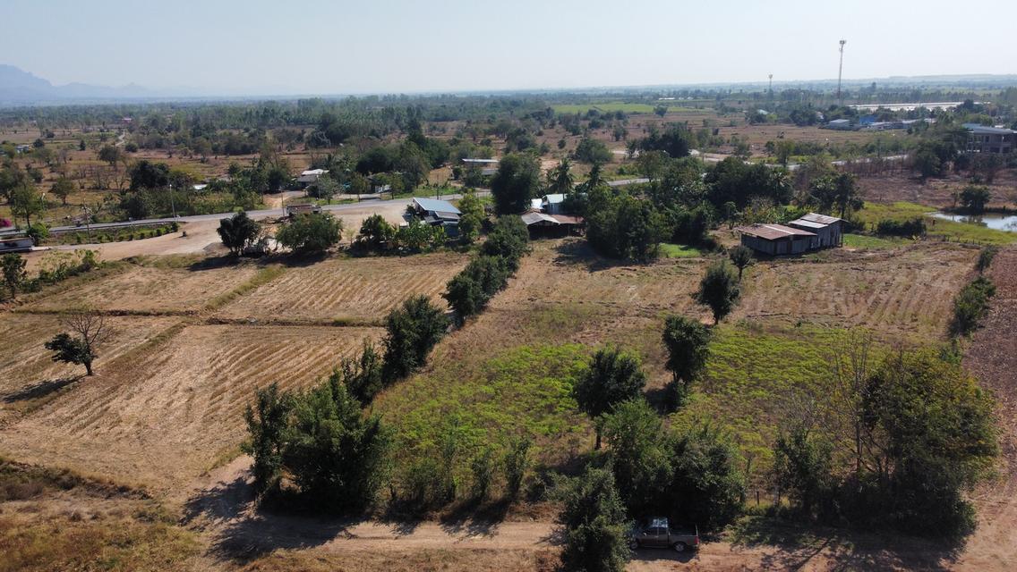 ที่ดิน ลพบุรี ชัยบาดาล 4