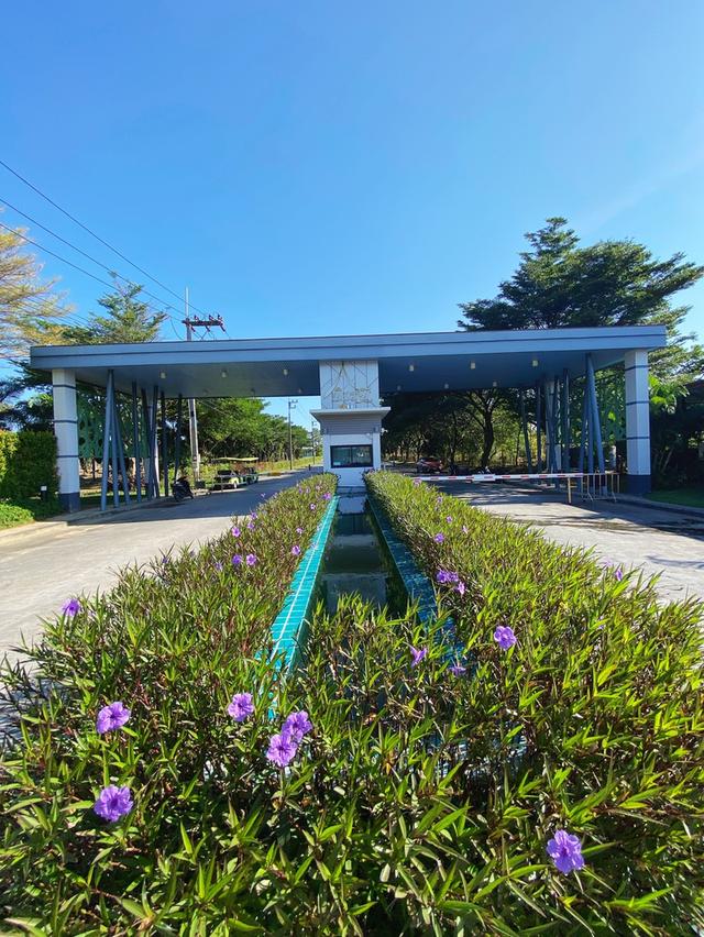 ขายบ้านเดี่ยว แปลงสวย หลังใหญ่ 1