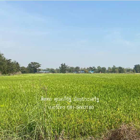 ที่ดินเปล่าราคาถูก 13 ไร่ 85 ตารางวา ตารางวาละ 1,000 บาท ต.หัวดง อ.เก้าเลี้ยว จ.นครสวรรค์ 3