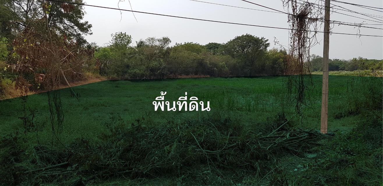 ขายที่ดิน/ให้เช่า 2 ไร่ จ.สระบุรี  ติดถนนหัวยบง-ท่าลาน 2